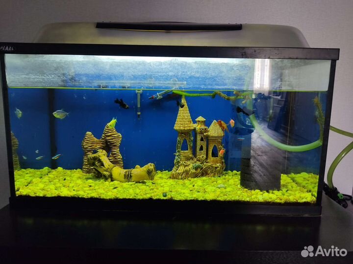 Аквариум с рыбками