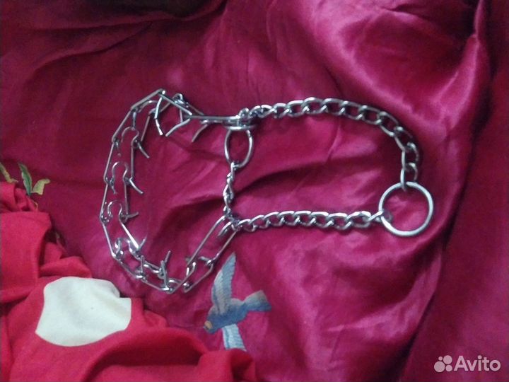 Строгий ошейник