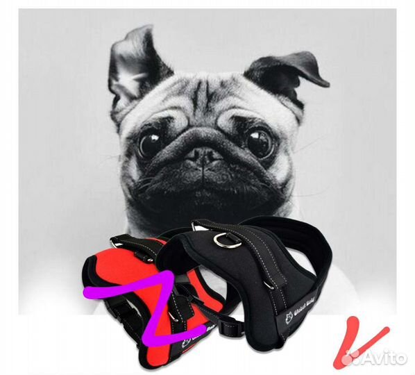 Шлейка для большой собаки
