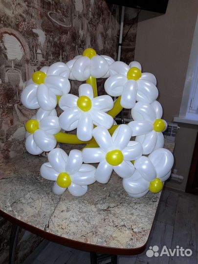 Ромашки, фигуры из воздушных шаров