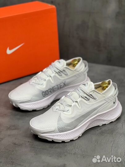 Кроссовки Nike Pegasus Trail 2