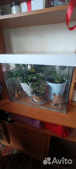 Аквариум с декором