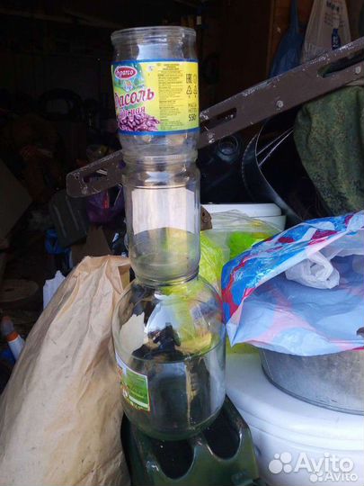 Банки стеклянные 0.5