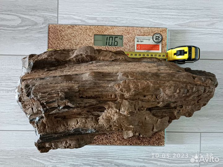 Окаменелое дерево