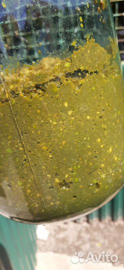 Чёрный орех молотый(зелёный)