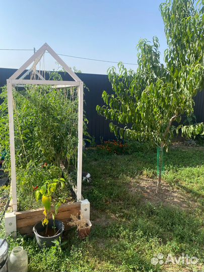 Высокие грядки