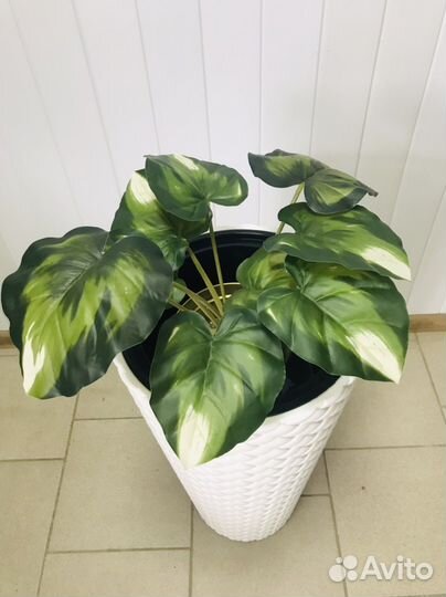 Искусственные растения в горшках