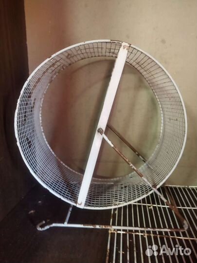 Пренадлежности для грызунов