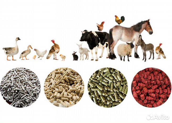 Корма для животных зерно