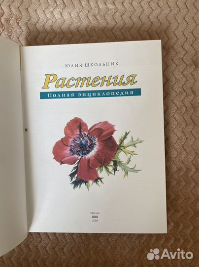 Энциклопедия 