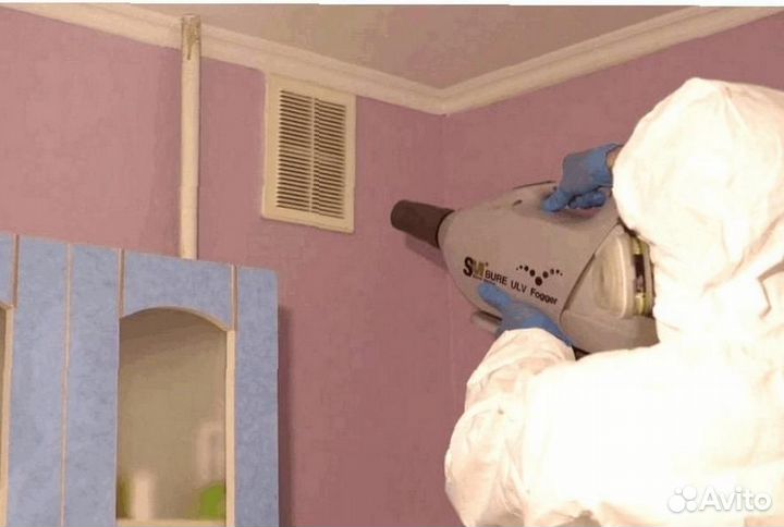 Средство против тараканов клопов