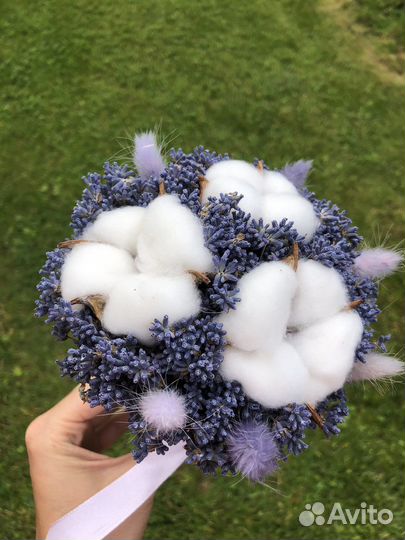 Лаванда сухоцвет