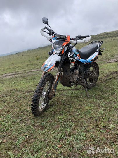 Рейсер 250