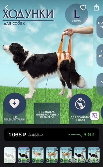 Поддержка-ходунки для собак для задних лап р L