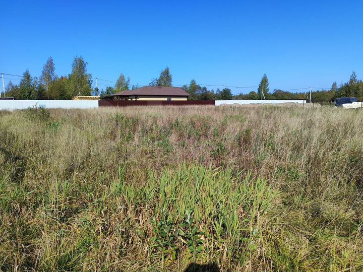 Участок 22,9 сот. (СНТ, ДНП)