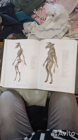 Анатомия фантастических существ