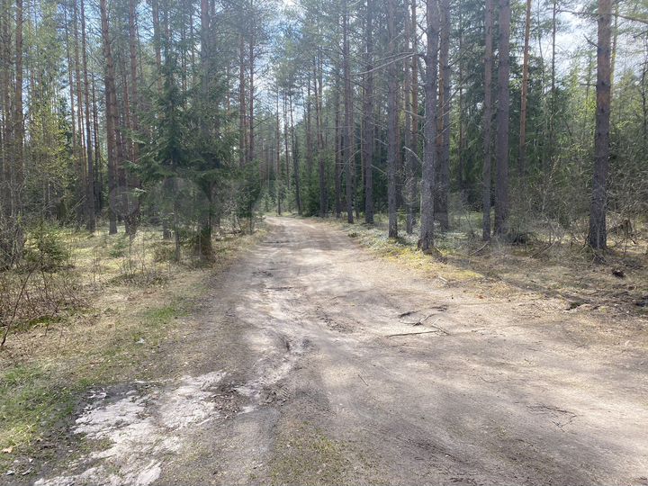 Участок 50 сот. (ИЖС)