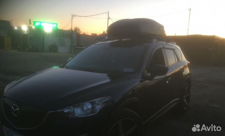 Бокс на крышу в аренду