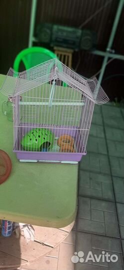 Клетка для грызунов