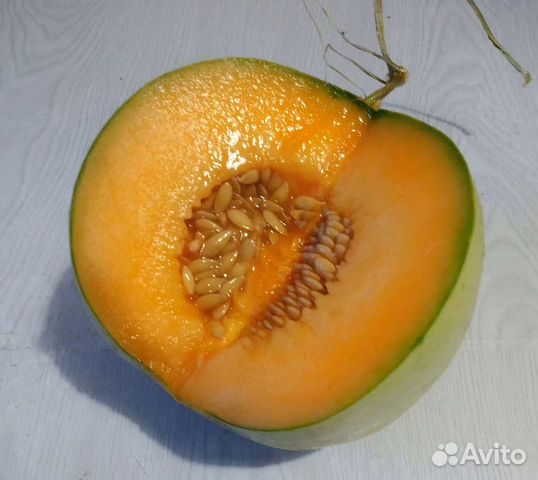 Семена дыни