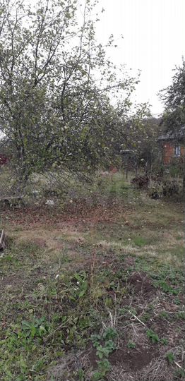 Участок 6 сот. (СНТ, ДНП)