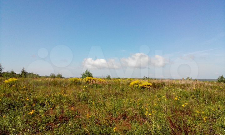 Участок 3,1 га (ИЖС)