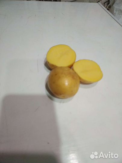 Продам картофель