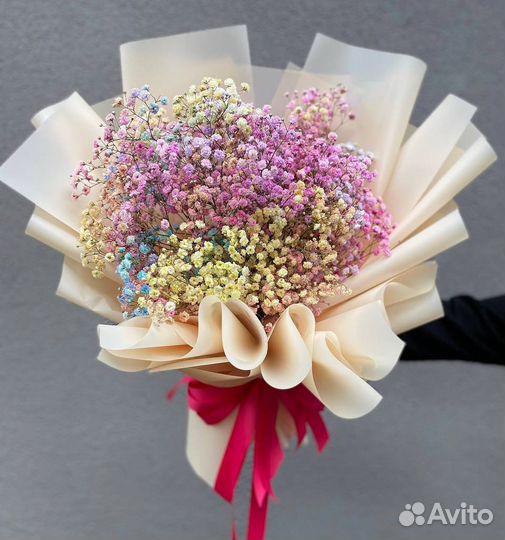 Гипсофила Разных Цветов. Доставка/Самовывоз