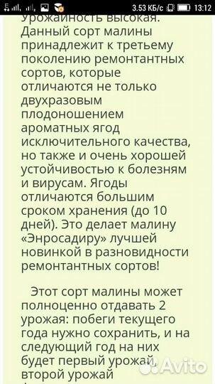 Малина энросадира