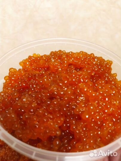 Икра горбуши этого года Владивосток