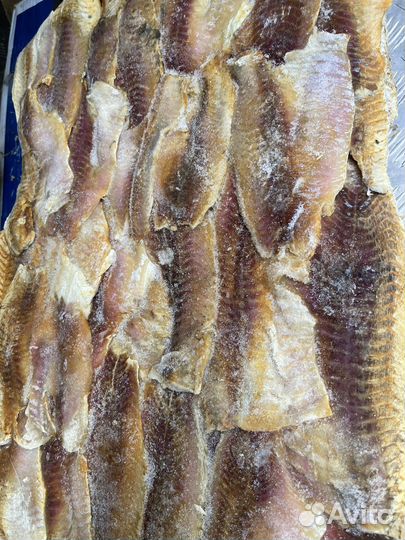 Рыба на корм животным