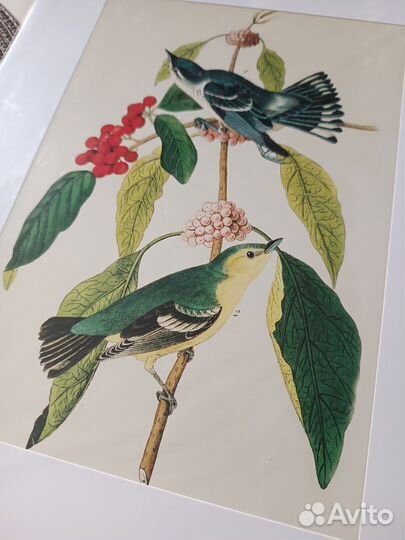 Плакаты постеры