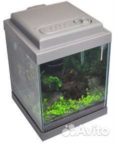 Аквариум