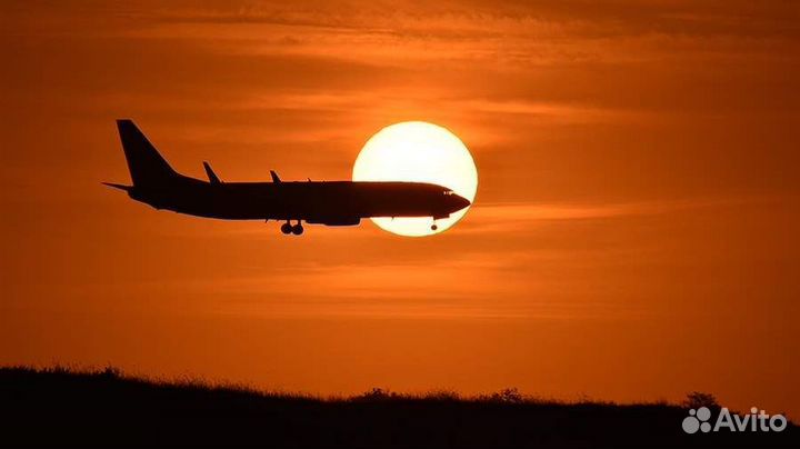 Упаковщик бортпитания в Шереметьево / Вахта