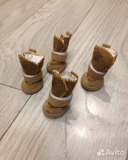 Обувь для маленьких собак