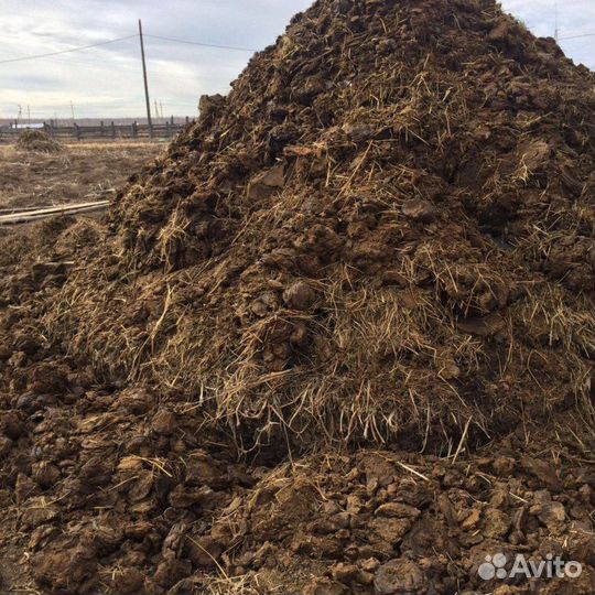 Навоз коровий бесплатно