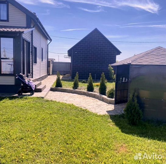 Туи брабант