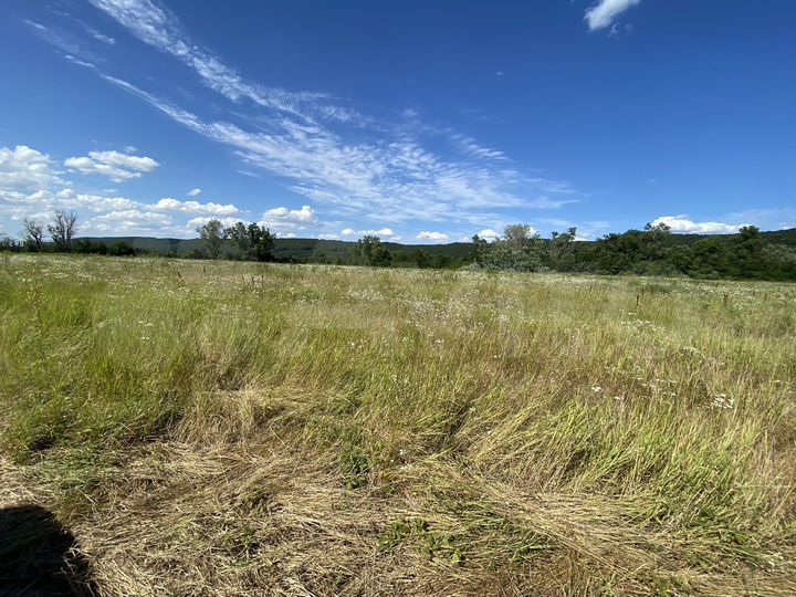 Участок 2 га (ИЖС)