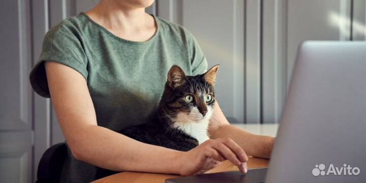 Простая работа из дома.Офиц.Не продажи.Оператор кц