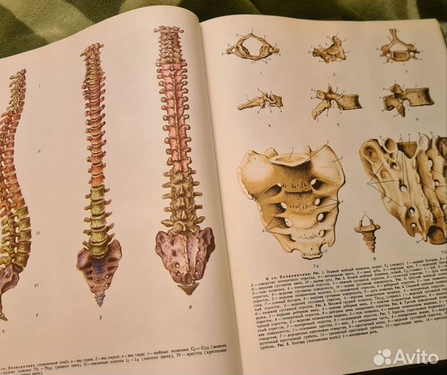 Большая медицинская энциклопедия 16, 19, 20 тома