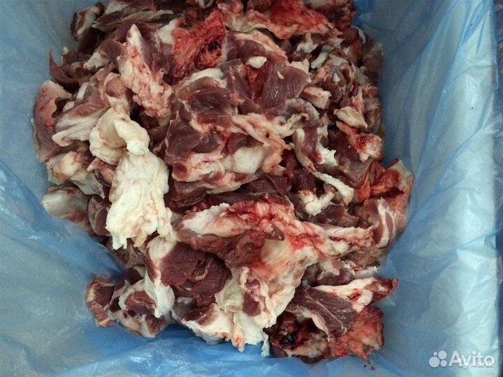 Мясо для собак говядина свинина