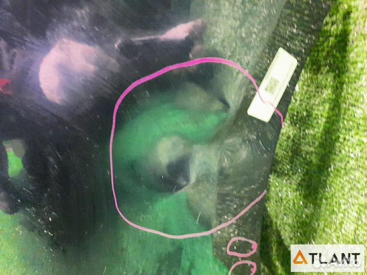 Ноускат mazda axela