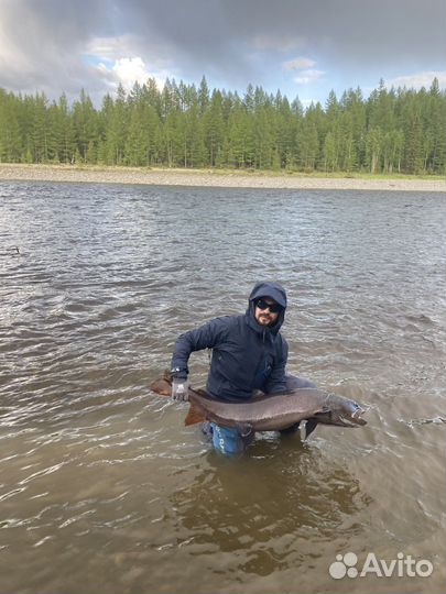 Рыбалка в Эвенкии р Тутончана