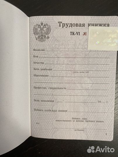 Трудовая книжка ТК 6