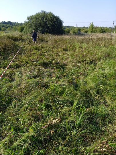 Участок 10 сот. (ИЖС)