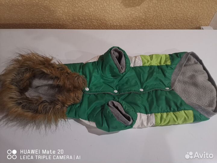 Одежда для маленьких собак