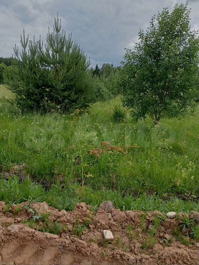 Участок 13 сот. (ИЖС)