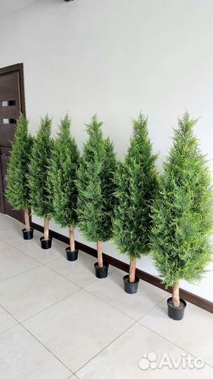 Искусственные туи можжевельник растение