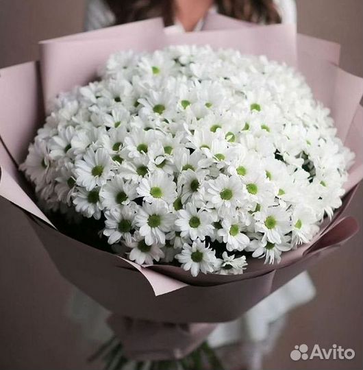 Хризантема Букеты с доставкой