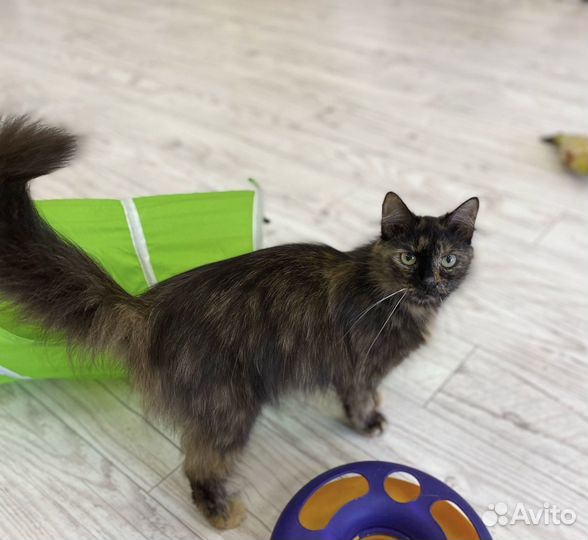 Никто не замечает